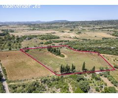 Terreno rústico con Proyecto en Manacor, Mallorca