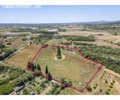 Terreno rústico con Proyecto en Manacor, Mallorca