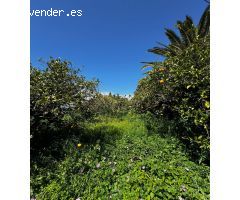 Terreno urbano en Venta en Puntagorda, Santa Cruz de Tenerife