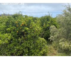 Terreno urbano en Venta en Puntagorda, Santa Cruz de Tenerife