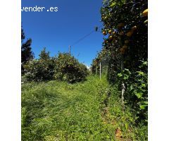 Terreno urbano en Venta en Puntagorda, Santa Cruz de Tenerife