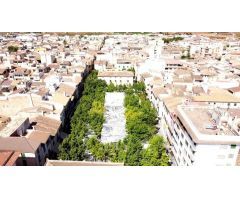 Oportunidad de inversión: Cesión de crédito garantizado con edificio en Sa Pobla