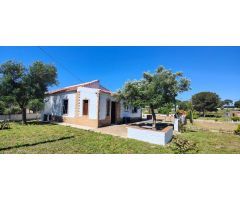 Finca rústica en Lucena del Puerto (Huelva)