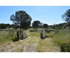 Finca rústica en Lucena del Puerto (Huelva)