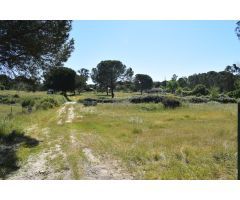 Finca rústica en Lucena del Puerto (Huelva)