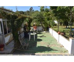 Finca rústica en Lucena del Puerto (Huelva)