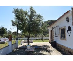 Finca rústica en Lucena del Puerto (Huelva)