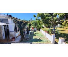 Finca rústica en Lucena del Puerto (Huelva)