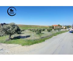 Terreno Las gabias de Secano 5.000 m2 con 50 olivos