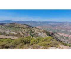 Finca rústica en venta en Camino de la Rinconada ( El Pinillo)