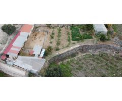 Se Vende Finca casa en Telde - Mayorazgo