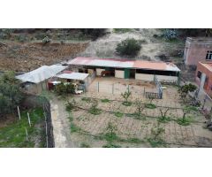 Se Vende Finca casa en Telde - Mayorazgo