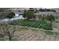 Se Vende Finca casa en Telde - Mayorazgo