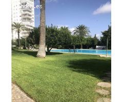 ???? Apartamento en alquiler de temporada - Primera línea de playa ????