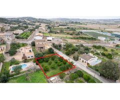 TERRENO URBANO MARIA DE LA SALUT