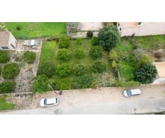 TERRENO URBANO MARIA DE LA SALUT