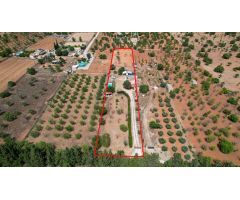 Finca rústica en venta en LLoseta
