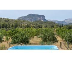 Finca rústica en venta en LLoseta