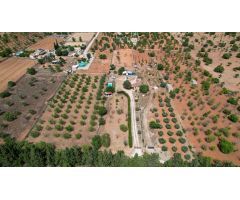 Finca rústica en venta en LLoseta