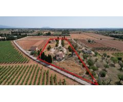 Finca en Sencelles