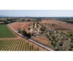 Finca en Sencelles