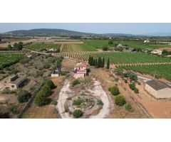 Finca en Sencelles