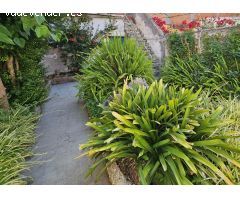 Pareado en Venta en Badalona, Barcelona