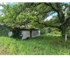 Descubre el Encanto de Galicia: Casa de Piedra con Finca en Purreira, Friol