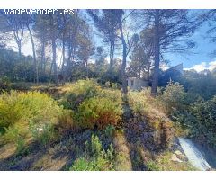 TERRENO RUSTICO CON AGUA Y LUZ A PIE DE PARCELA Y CON URBANIZACIÓN EN EL ESTEPAR DE ALCOY