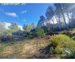 TERRENO RUSTICO CON AGUA Y LUZ A PIE DE PARCELA Y CON URBANIZACIÓN EN EL ESTEPAR DE ALCOY