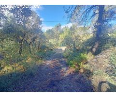 TERRENO RUSTICO CON AGUA Y LUZ A PIE DE PARCELA Y CON URBANIZACIÓN EN EL ESTEPAR DE ALCOY