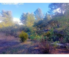 TERRENO RUSTICO CON AGUA Y LUZ A PIE DE PARCELA Y CON URBANIZACIÓN EN EL ESTEPAR DE ALCOY
