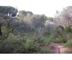 Solar en Venta en Villaviciosa de Córdoba, Córdoba