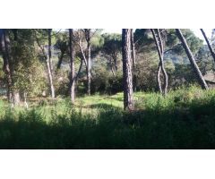 Solar en Venta en Villaviciosa de Córdoba, Córdoba