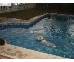 Casa en Venta en Villaviciosa de Córdoba, Córdoba