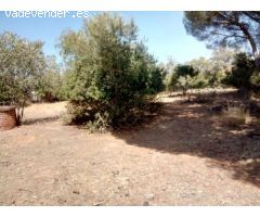 Solar en Venta en Villaviciosa de Córdoba, Córdoba