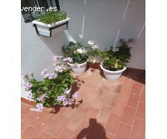 Casa en Venta en Villaviciosa de Córdoba, Córdoba