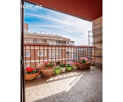 APARTAMENTO DE 3 DORMITORIOS 1 BAÑO EN TORREVIEJA ( ALICANTE )