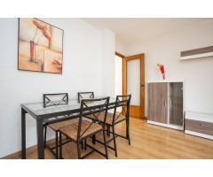 APARTAMENTO DE 3 DORMITORIOS 1 BAÑO EN TORREVIEJA ( ALICANTE )