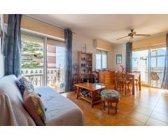 ATICO DE 1 DORMITORIO 1 BAÑO CON VISTAS AL MAR EN TORREVIEJA ( ALICANTE )