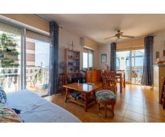 ATICO DE 1 DORMITORIO 1 BAÑO CON VISTAS AL MAR EN TORREVIEJA ( ALICANTE )