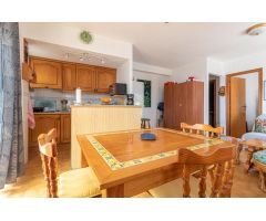 ATICO DE 1 DORMITORIO 1 BAÑO CON VISTAS AL MAR EN TORREVIEJA ( ALICANTE )