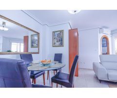 SE ALQUILA APARTAMENTO DE 1 DORMITORIO POR LARGA DURACION EN TORREVIEJA ( ALICANTE )