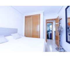 SE ALQUILA APARTAMENTO DE 1 DORMITORIO POR LARGA DURACION EN TORREVIEJA ( ALICANTE )