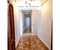 Piso en alquiler zona Centro