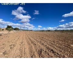 SE VENDE PARCELA EN PINOSO (ALICANTE)