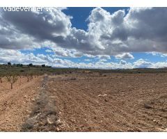 SE VENDE PARCELA EN PINOSO (ALICANTE)