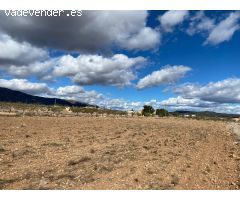 SE VENDE PARCELA EN PINOSO (ALICANTE)