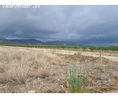 SE VENDE PARECELA MUY BUENA UBICACIÓN EN LA ZONA DE HONDÓN (MONOVAR) ALICANTE