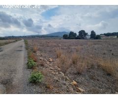 SE VENDE PARECELA MUY BUENA UBICACIÓN EN LA ZONA DE HONDÓN (MONOVAR) ALICANTE